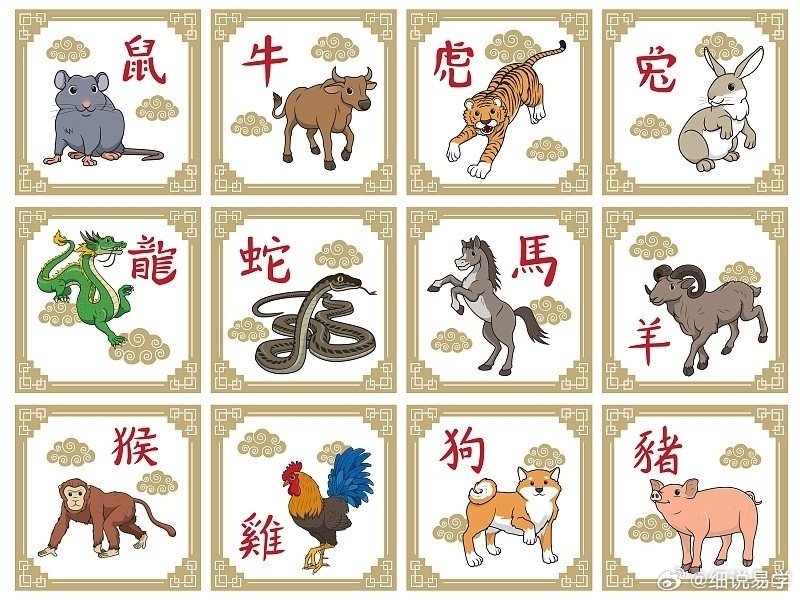 青山绿水好风光,有情之人不孤单猜一生肖的全面释义、解释与落实、详细解答解释落实
