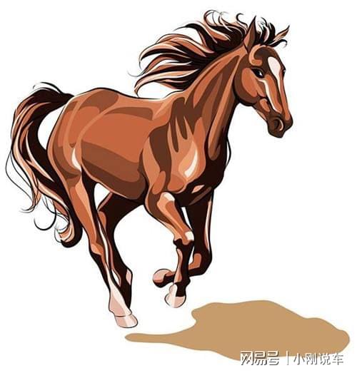 别无出路打一正确的生肖，详细解答、综合解答解释落实