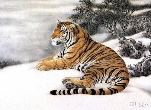 大显身手无人敌猜一生肖、警惕虚假宣传-全面释义、科学解答解释落实